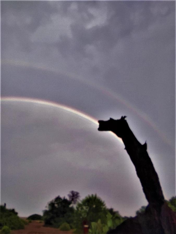 Chimera Pia Aparts Çıralı Exterior foto